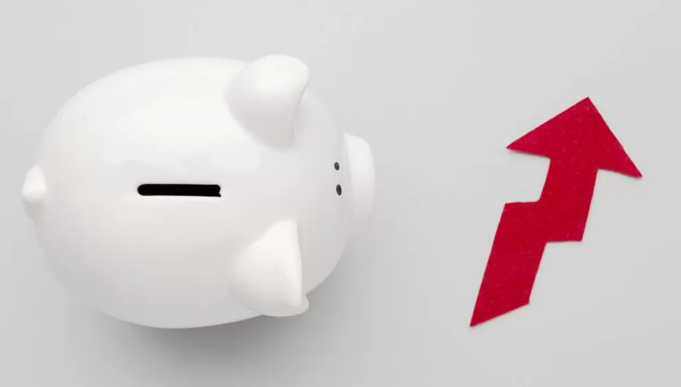 concept increased economy with piggy bank